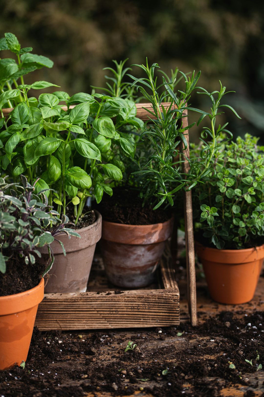 Veelgestelde vragen